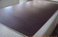 Những điểm đặc biệt của ván ép phủ phim