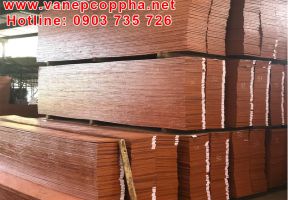 Hình ảnh nhà máy