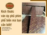 Kích thước ván ép phủ phim phổ biến mà bạn cần biết!