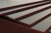 Thành phần của ván ép coppha phủ phim