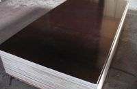 Ván ép coppha phủ phim có tốt không?