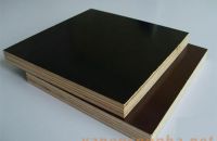 Những điểm cần chú trọng trước khi mua ván ép coppha phủ phim