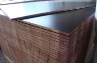 Những ứng dung và kích thước ván ép coppha