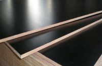 Tầm Quan Trọng Của Ván Ép Coppha Phủ Phim Trong Xây Dựng