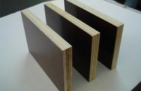 Quy trình sản xuất ván ép coppha