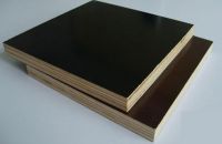 Thông Tin Cần Biết Khi Sử Dụng Ván Ép Coppha Phủ Phim