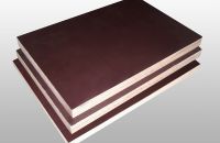 Đặc Điểm Kỹ Thuật Ván Ép Coppha Phủ Phim