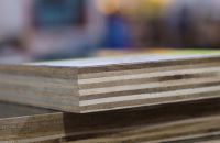 Cách lựa chọn Ván coppha phủ phim tốt