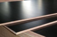 Ván ép coppha phủ phim và ván ép thường có gì khác nhau?