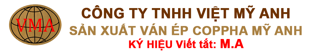 CÔNG TY TNHH VIỆT MỸ ANH