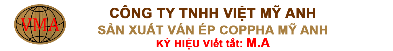 CÔNG TY TNHH VIỆT MỸ ANH